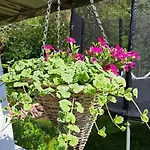 Majoitu Joen Rannassa Tatil Evi