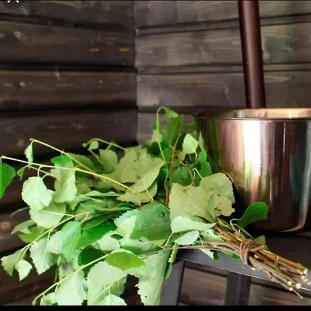 Majoitu Joen Rannassa Eura